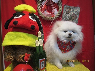 ファイル 6888-2.jpg