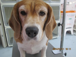 ファイル 6889-2.jpg