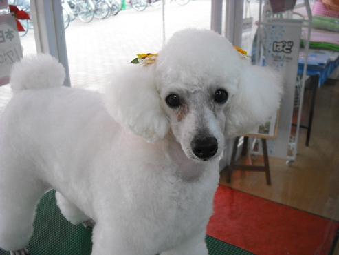 ファイル 689-1.jpg