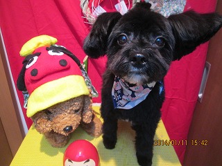 ファイル 6890-2.jpg