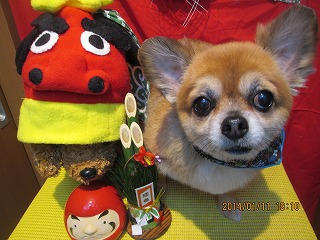 ファイル 6891-2.jpg