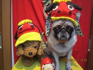 ファイル 6892-1.jpg