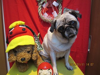 ファイル 6892-2.jpg