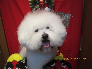 ファイル 6893-1.jpg