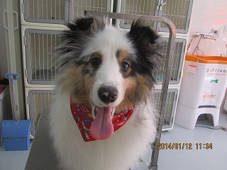 ファイル 6894-2.jpg