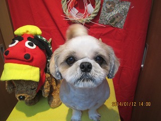 ファイル 6895-1.jpg