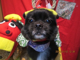 ファイル 6896-1.jpg