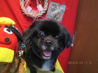 ファイル 6896-2.jpg