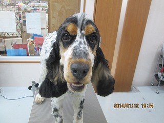 ファイル 6898-2.jpg