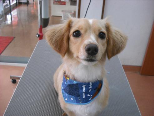 ファイル 69-1.jpg