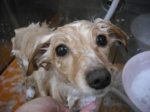 ファイル 69-2.jpg