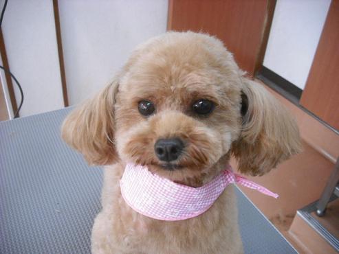 ファイル 690-1.jpg