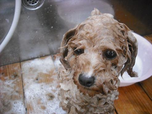 ファイル 690-2.jpg