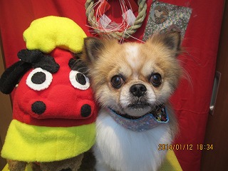 ファイル 6900-2.jpg