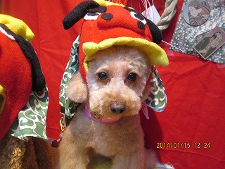 ファイル 6904-1.jpg