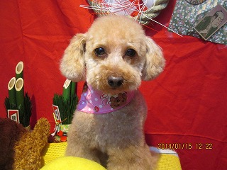 ファイル 6904-2.jpg