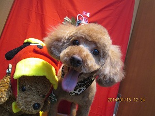 ファイル 6905-2.jpg