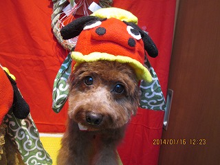 ファイル 6907-1.jpg