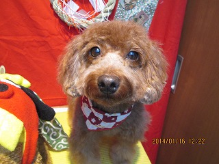 ファイル 6907-2.jpg