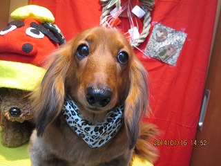 ファイル 6908-2.jpg