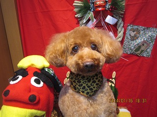 ファイル 6909-2.jpg