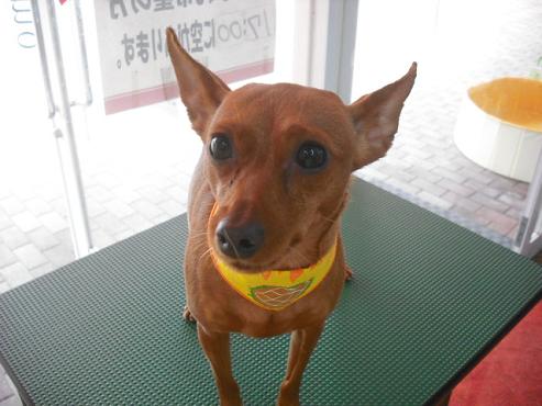 ファイル 691-1.jpg