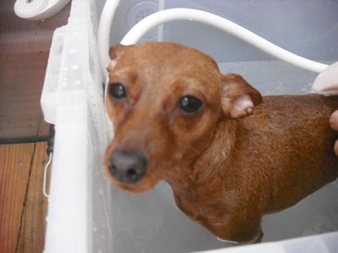 ファイル 691-2.jpg