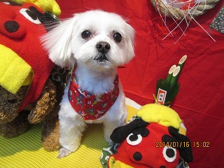 ファイル 6910-1.jpg