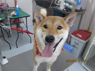 ファイル 6911-2.jpg