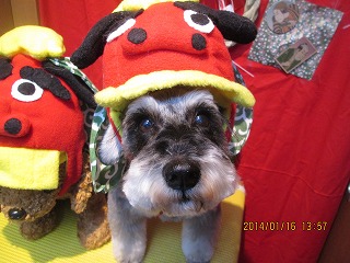 ファイル 6912-1.jpg