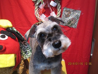 ファイル 6912-2.jpg