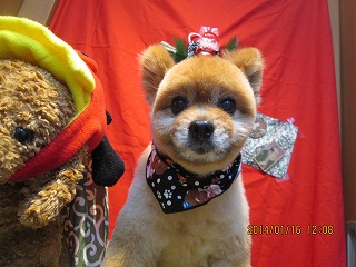 ファイル 6913-2.jpg