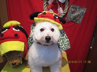 ファイル 6914-1.jpg