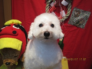 ファイル 6914-2.jpg