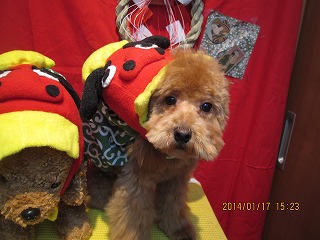 ファイル 6915-1.jpg