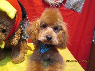 ファイル 6915-2.jpg