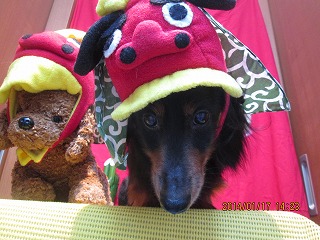 ファイル 6917-1.jpg