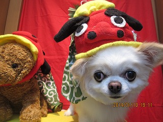 ファイル 6919-1.jpg