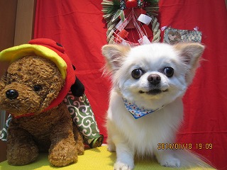 ファイル 6919-2.jpg