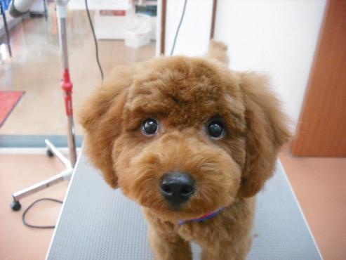 ファイル 692-1.jpg