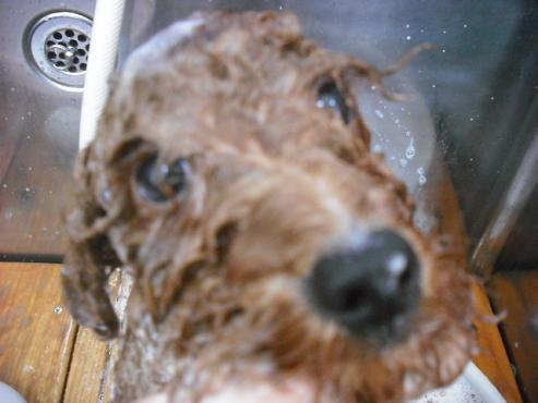 ファイル 692-2.jpg