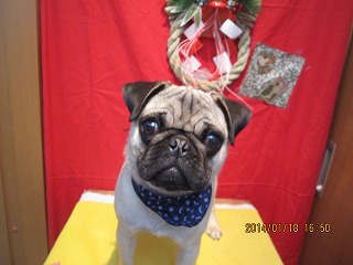 ファイル 6920-1.jpg