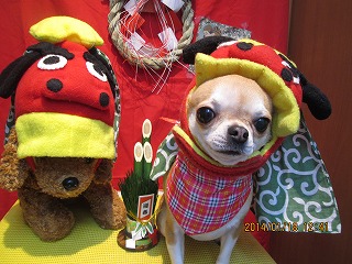 ファイル 6922-1.jpg