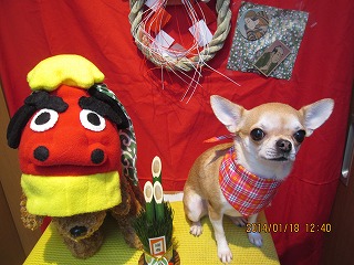 ファイル 6922-2.jpg