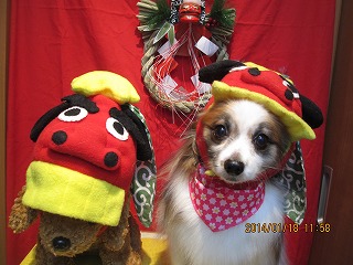 ファイル 6924-1.jpg