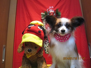 ファイル 6924-2.jpg