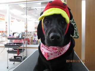 ファイル 6925-1.jpg