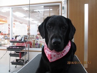 ファイル 6925-2.jpg