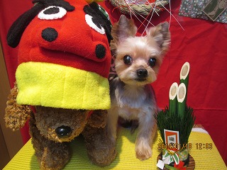 ファイル 6926-2.jpg