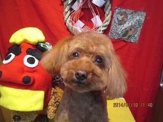 ファイル 6927-2.jpg